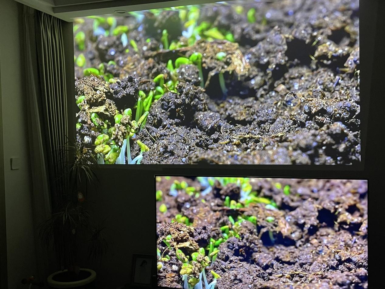 ？居家上网课用当贝X5画质好亮度高更护眼pg模拟器电脑版家用教学投影仪哪款更好用(图13)